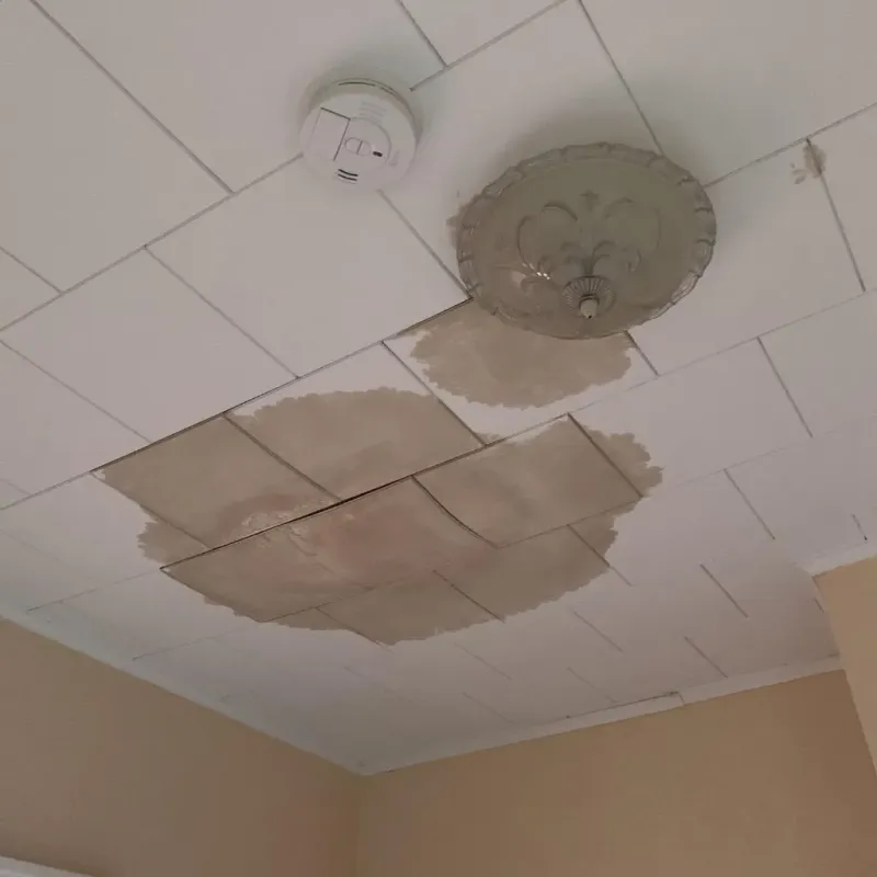 Ceiling Water Damage Repair in Elizabeth, WV