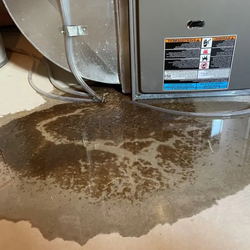 Pipe Burst and Leak Restoration in Elizabeth, WV