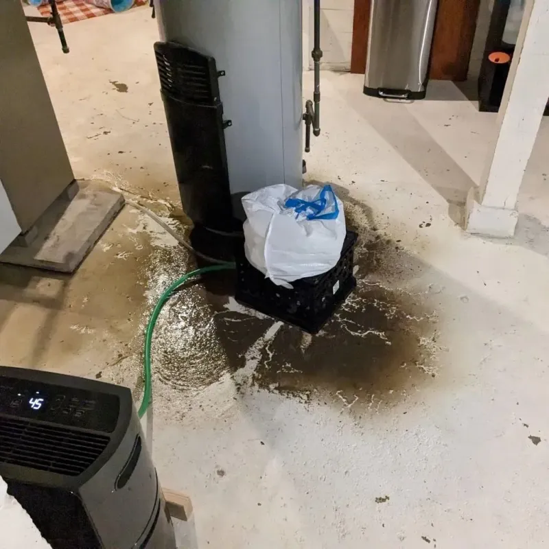 Sewage Backup Cleanup Service in Elizabeth, WV